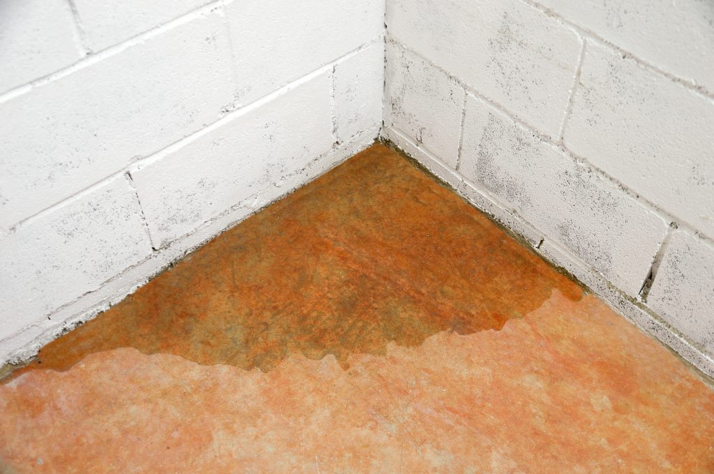 basement moisture