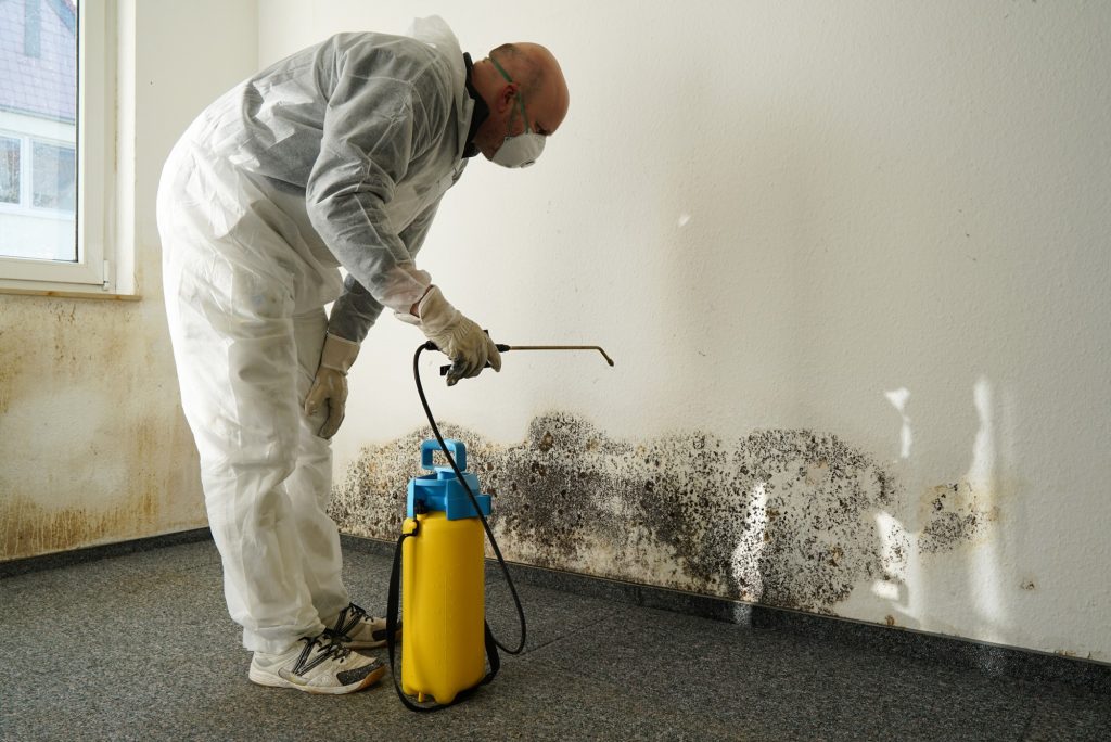 black mold