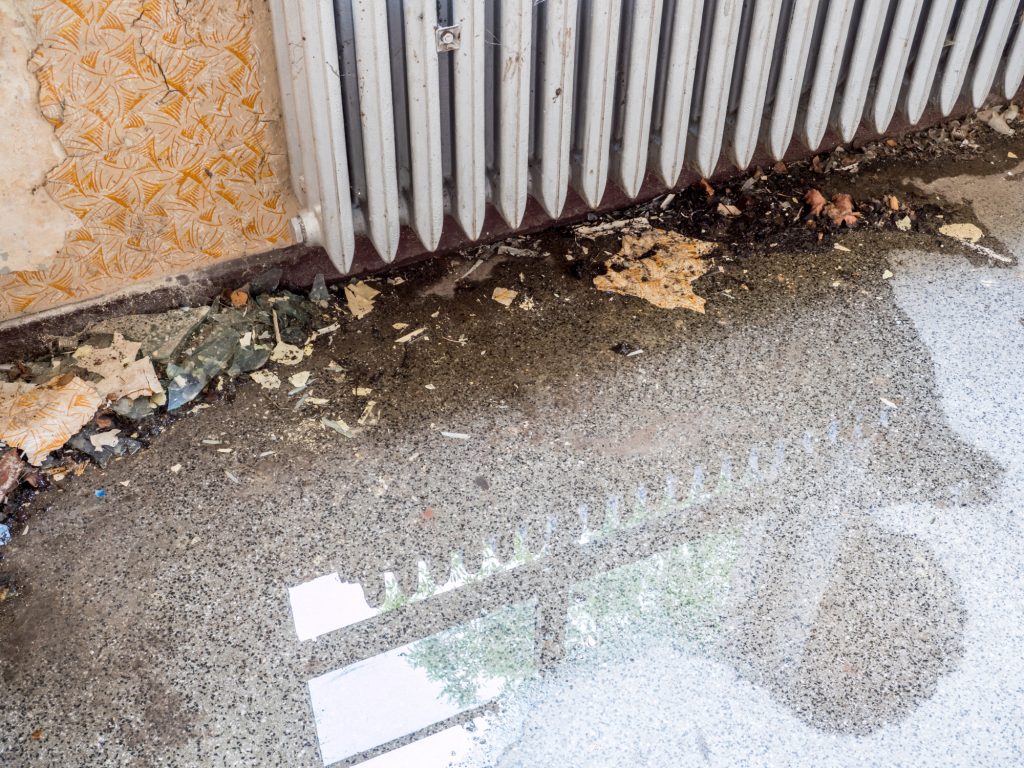 basement waterproofing expert