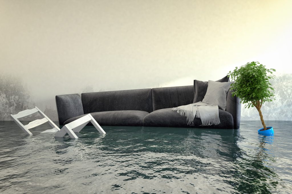 What to Do When Your Basement Floods