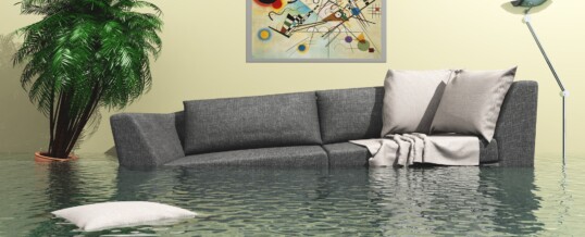 What Are the Best Basement Waterproofing Systems?