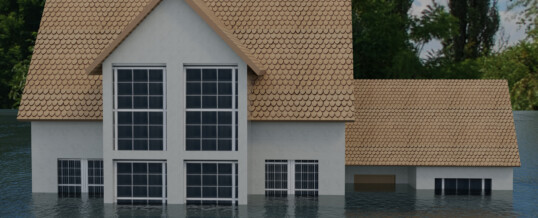 What to Do After Your Basement Suffers From Water Damage