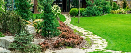 How Good Landscaping Can Help Prevent Basement Flooding