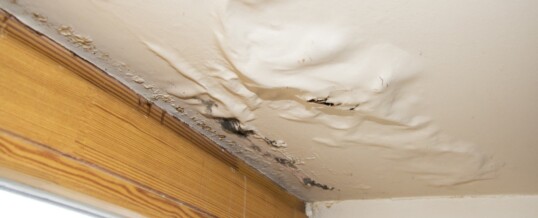Eight Subtle Signs of a Water Damaged Basement